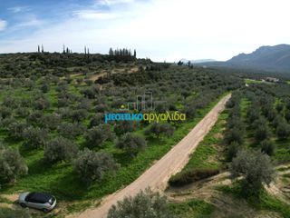 Αγροτεμάχια 8.814,51 τ.μ. για πώληση, Αργολίδα, Κουτσοπόδι-thumb-8