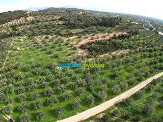 Αγροτεμάχια 8.814,51 τ.μ. για πώληση