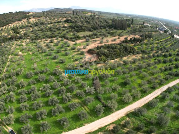 Αγροτεμάχια 8.814,51 τ.μ. για πώληση, Αργολίδα, Κουτσοπόδι