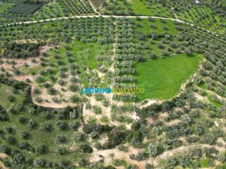 Αγροτεμάχια 8.814,51 τ.μ. για πώληση, Αργολίδα, Κουτσοπόδι-thumb-6