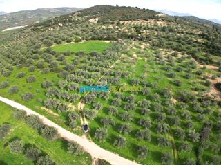 Αγροτεμάχια 8.814,51 τ.μ. για πώληση, Αργολίδα, Κουτσοπόδι-thumb-1