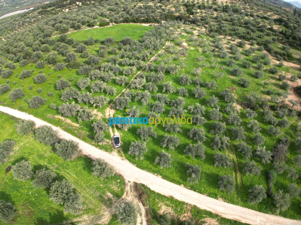 Αγροτεμάχια 8.814,51 τ.μ. προς πώληση, Κουτσοπόδι
