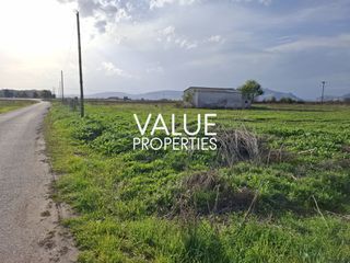 Αγροτεμάχια 21.921 τ.μ. πρός πώληση, Ν. Λάρισας, Τύρναβος-thumb-5