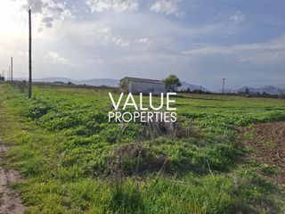 Αγροτεμάχια 21.921 τ.μ. πρός πώληση, Ν. Λάρισας, Τύρναβος-thumb-3