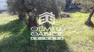 Οικόπεδο 1.000 τ.μ. για πώληση