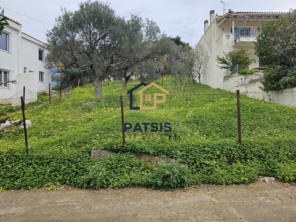 Οικόπεδο 494 τ.μ. πρός πώληση, Φωκίδα, Τολοφώνα