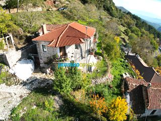 Μονοκατοικία 150 τ.μ. για πώληση, Αρκαδία, Δημητσάνα-thumb-6