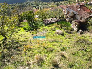 Μονοκατοικία 150 τ.μ. για πώληση, Αρκαδία, Δημητσάνα-thumb-24