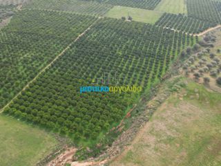Αγροτεμάχια 16.216,78 τ.μ. για πώληση, Αργολίδα, Μυκήνες-thumb-6