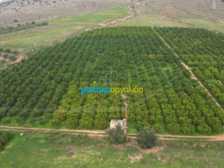 Αγροτεμάχια 16.216,78τ.μ. για πώληση-Μυκήνες