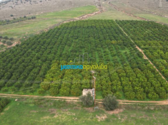 Αγροτεμάχια 16.216,78 τ.μ. για πώληση, Αργολίδα, Μυκήνες