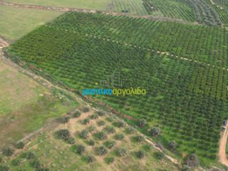 Αγροτεμάχια 16.216,78 τ.μ. για πώληση, Αργολίδα, Μυκήνες-thumb-9