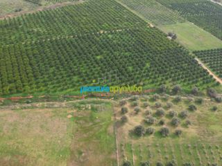 Αγροτεμάχια 16.216,78 τ.μ. για πώληση, Αργολίδα, Μυκήνες-thumb-7