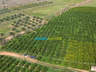 Αγροτεμάχια 16.216,78 τ.μ. για πώληση, Αργολίδα, Μυκήνες-thumb-11