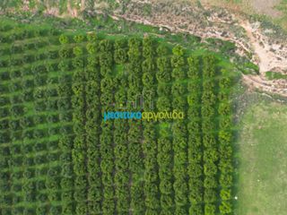 Αγροτεμάχια 16.216,78 τ.μ. για πώληση, Αργολίδα, Μυκήνες-thumb-3