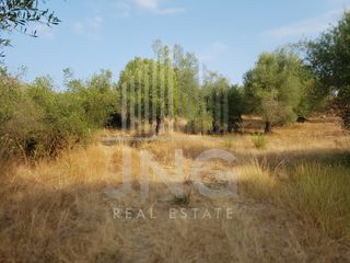 Οικόπεδο 10.181 τ.μ. για πώληση, Θεσπρωτία, Σύβοτα-thumb-1