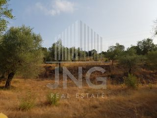 Οικόπεδο 10.181 τ.μ. για πώληση