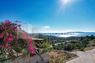 Οικόπεδο 400 τ.μ. για πώληση, Αργολίδα, Κρανίδι-thumb-16