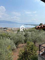 Μονοκατοικία 260 τ.μ. για πώληση