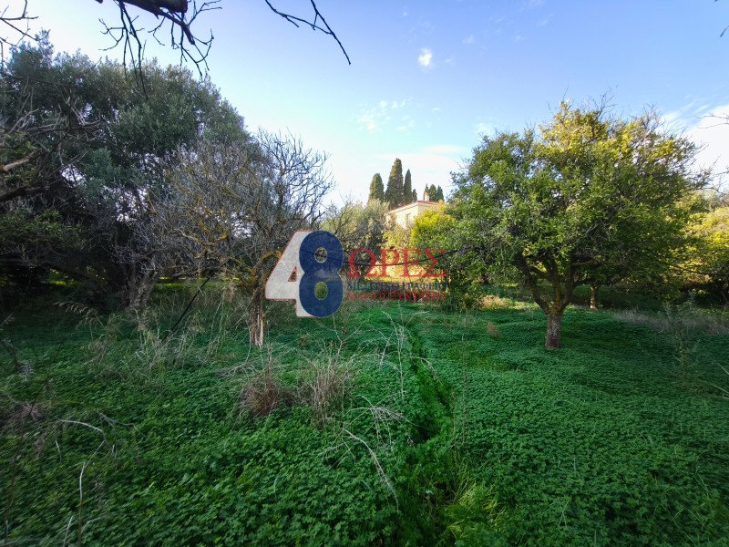 Οικόπεδο 2.995 τ.μ. προς πώληση, Πόλη Χίου