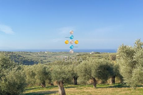 Αγροτεμάχια 6.100τ.μ. για πώληση-Αρκάδι