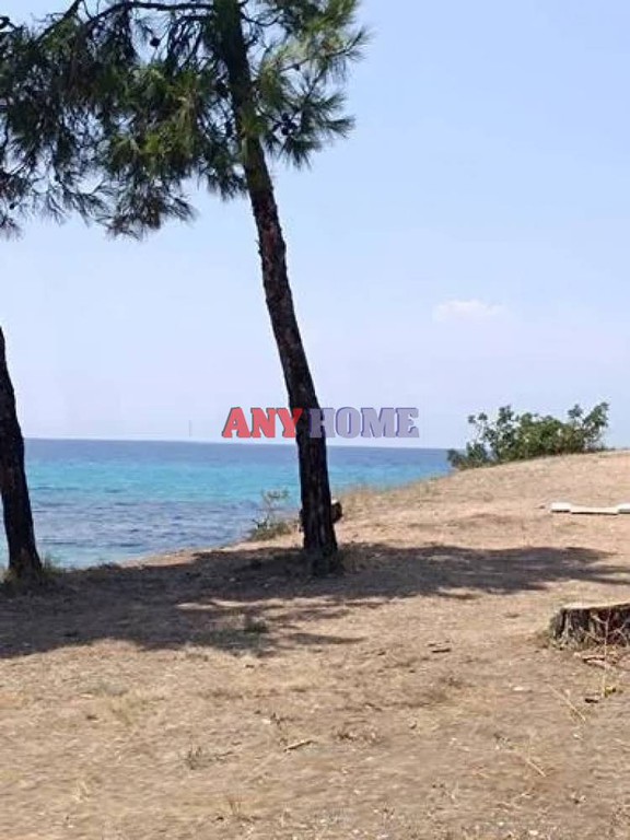 Αγροτεμάχια 4.056 τ.μ. προς πώληση, Σωζόπολη