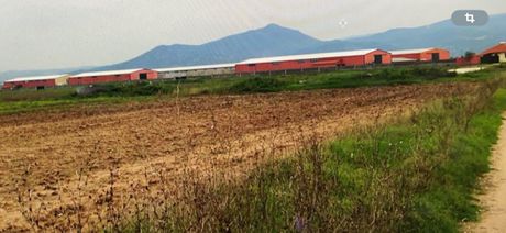Industrial space 2.440 sqm for sale