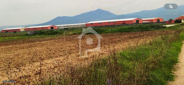 Industrial space 2.440 sqm for sale, Kilkis Prefecture, Pikrolimni