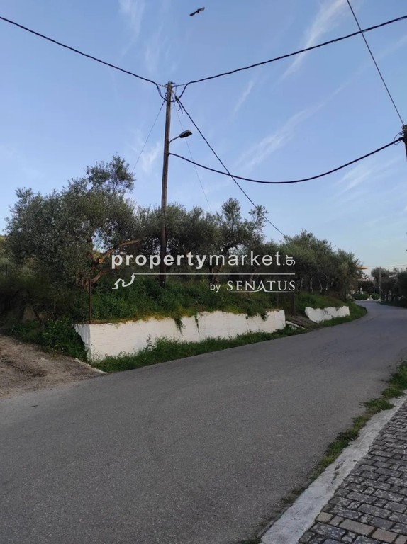 Οικόπεδο 2.000 τ.μ. προς πώληση, Σιρίλι