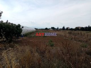 Αγροτεμάχια 1.500 τ.μ. για πώληση