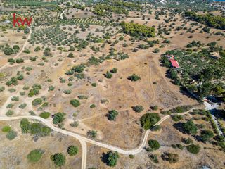 Αγροτεμάχια 21.971 τ.μ. για πώληση, Αργολίδα, Κρανίδι-thumb-9