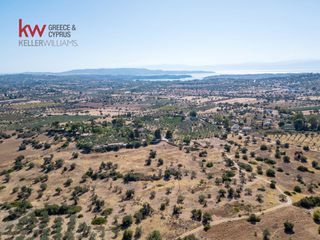 Αγροτεμάχια 21.971 τ.μ. για πώληση, Αργολίδα, Κρανίδι-thumb-5