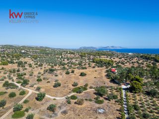 Αγροτεμάχια 21.971 τ.μ. για πώληση