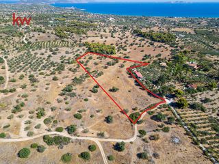 Αγροτεμάχια 21.971 τ.μ. για πώληση, Αργολίδα, Κρανίδι-thumb-7