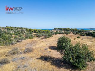 Αγροτεμάχια 21.971 τ.μ. για πώληση, Αργολίδα, Κρανίδι-thumb-14
