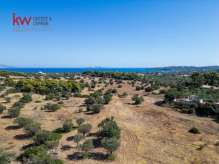 Αγροτεμάχια 21.971 τ.μ. για πώληση, Αργολίδα, Κρανίδι-thumb-15