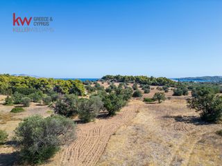 Αγροτεμάχια 21.971 τ.μ. για πώληση, Αργολίδα, Κρανίδι-thumb-19