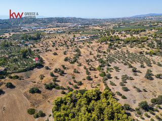 Αγροτεμάχια 21.971 τ.μ. για πώληση, Αργολίδα, Κρανίδι-thumb-18