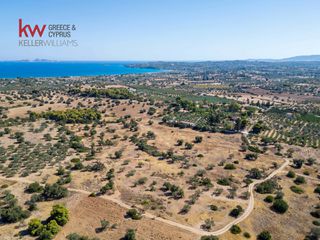 Αγροτεμάχια 21.971 τ.μ. για πώληση, Αργολίδα, Κρανίδι-thumb-3