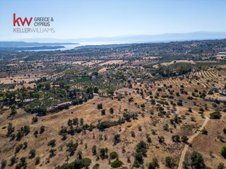Αγροτεμάχια 21.971 τ.μ. για πώληση, Αργολίδα, Κρανίδι-thumb-6