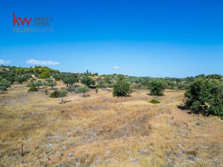 Αγροτεμάχια 21.971 τ.μ. για πώληση, Αργολίδα, Κρανίδι-thumb-13
