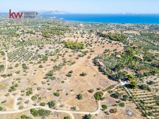 Αγροτεμάχια 21.971 τ.μ. για πώληση, Αργολίδα, Κρανίδι-thumb-8