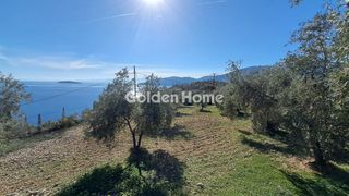 Οικόπεδο 2.011 τ.μ. για πώληση, Φωκίδα, Δεσφίνα-thumb-1