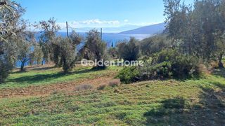 Οικόπεδο 2.011 τ.μ. για πώληση, Φωκίδα, Δεσφίνα-thumb-4