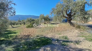 Οικόπεδο 2.011 τ.μ. για πώληση, Φωκίδα, Δεσφίνα-thumb-8