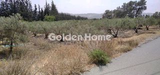 Αγροτεμάχια 4.181 τ.μ. για πώληση