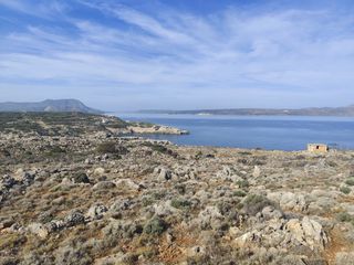 Οικόπεδο 42.493 τ.μ. για πώληση