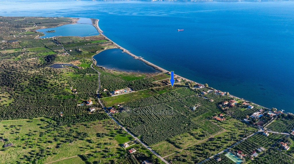Αγροτεμάχια 10.688 τ.μ. προς πώληση, Πηγάδια Ερμιόνης