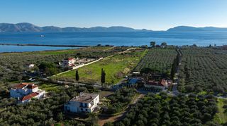 Αγροτεμάχια 10.688 τ.μ. για πώληση
