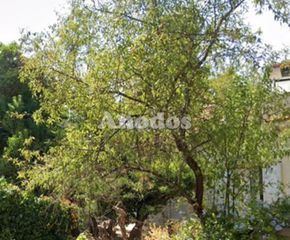 Οικόπεδο 700 τ.μ. πρός πώληση